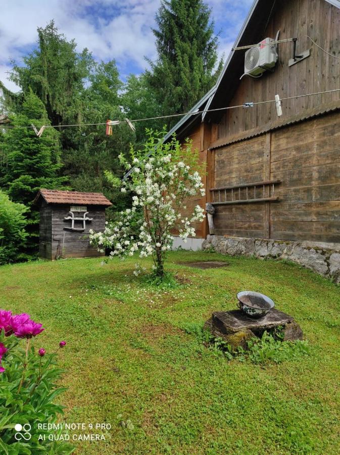 Dorina Hiza Villa Karlovac Ngoại thất bức ảnh