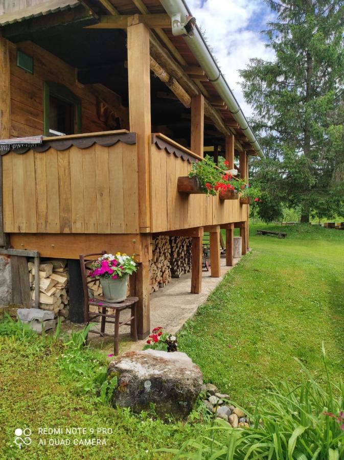 Dorina Hiza Villa Karlovac Ngoại thất bức ảnh
