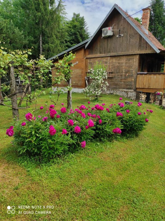 Dorina Hiza Villa Karlovac Ngoại thất bức ảnh