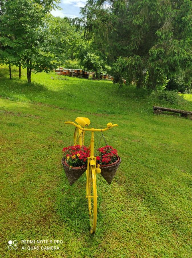 Dorina Hiza Villa Karlovac Ngoại thất bức ảnh