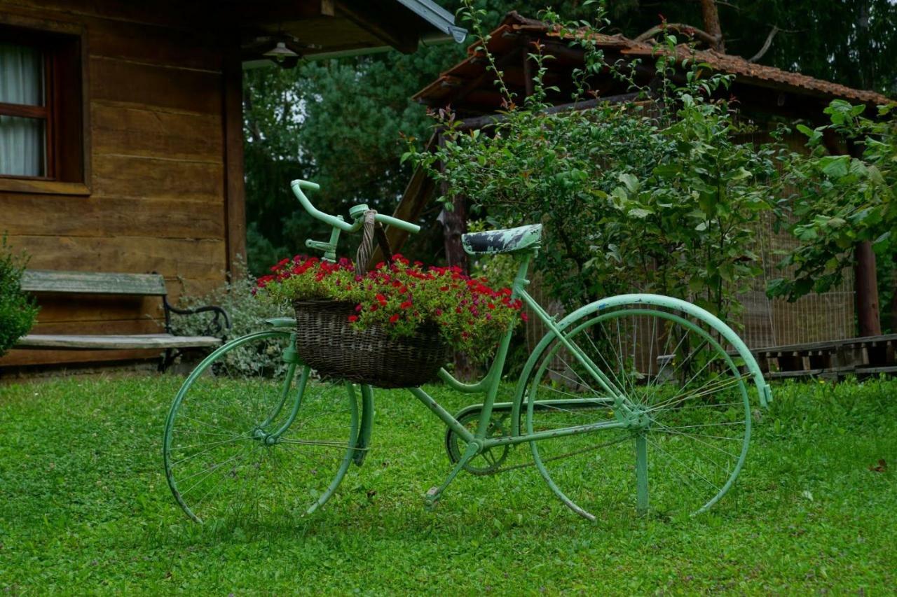 Dorina Hiza Villa Karlovac Ngoại thất bức ảnh
