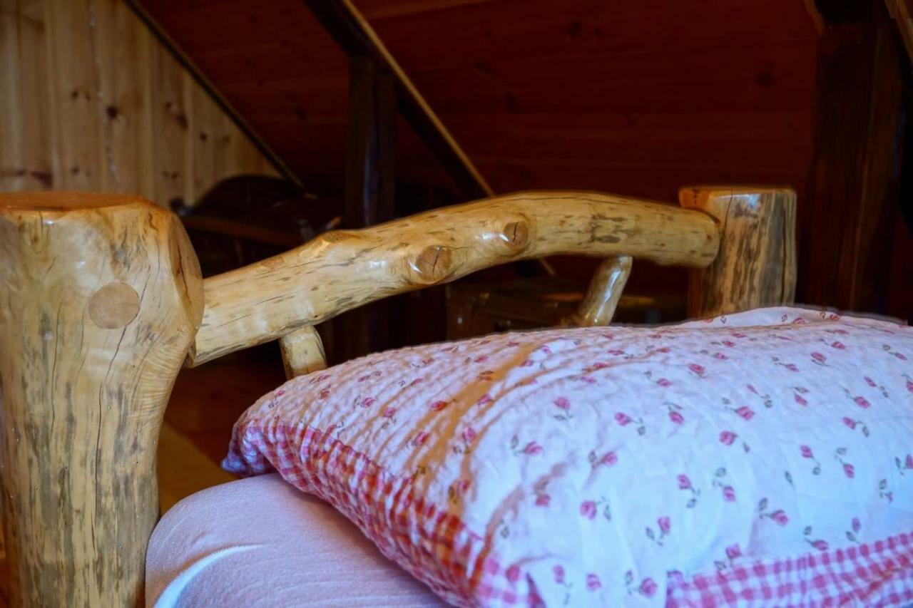 Dorina Hiza Villa Karlovac Ngoại thất bức ảnh