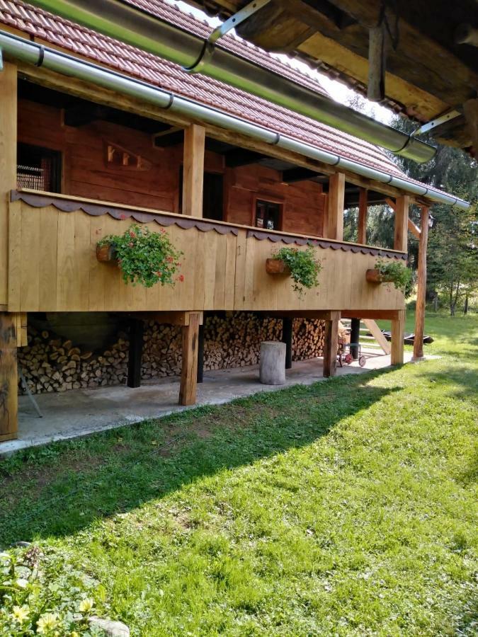 Dorina Hiza Villa Karlovac Ngoại thất bức ảnh